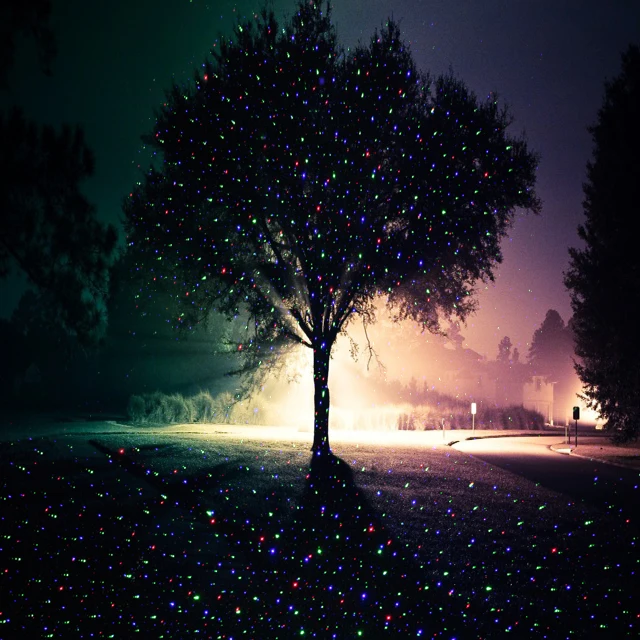 lights for trees