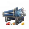 automatic turnkey small fruit and vegetable waxberry juice production line