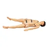 Obstetrics Skills Training System for Childbirth Teaching Manikin and Simulator