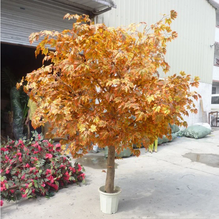 Large Fiberglass Artificial Maple Tree For Indoor Decoration Buy