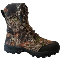 irish setter ladyhawk 2000