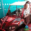 direct factor 250cc eec approved utv buggy