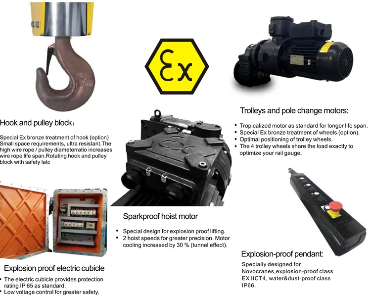 Europe standard saftey reliable Explosion-proof wire rope electric hoist