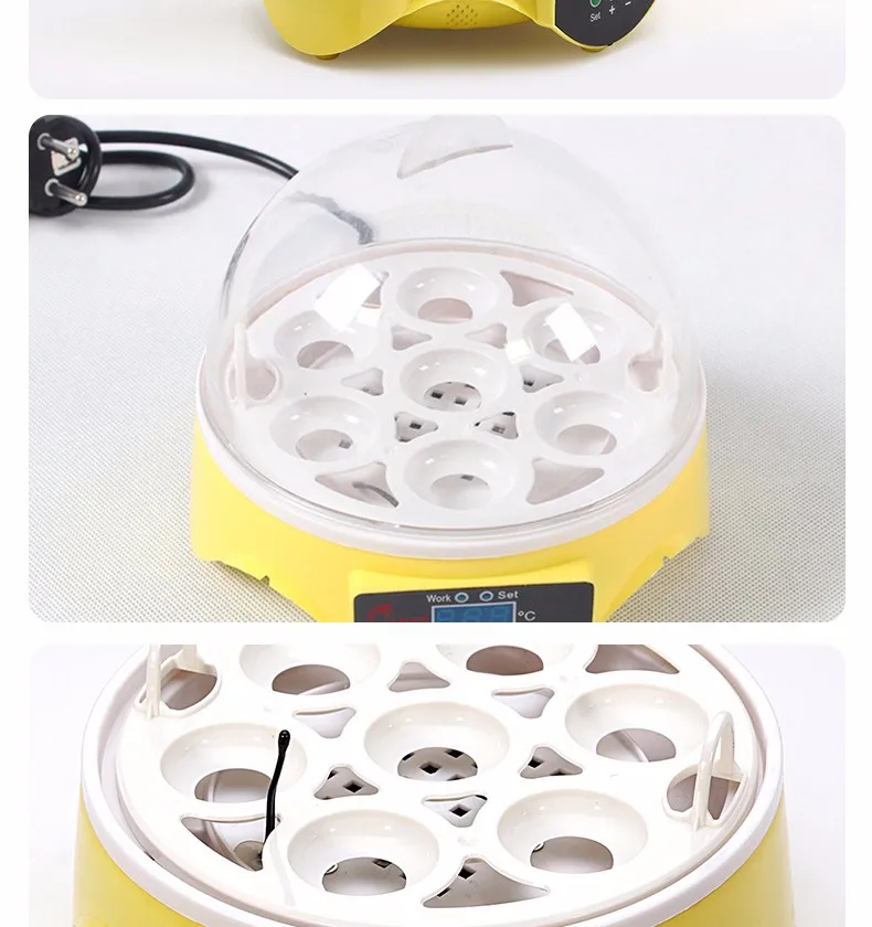 New design 7 eggs incubator CE approved automatic professional education montessori toy