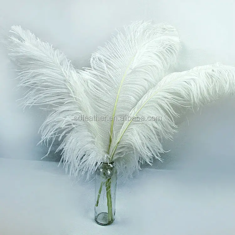 where to buy decorative feathers