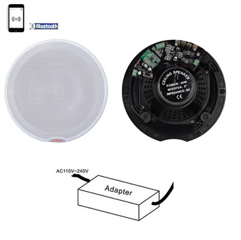 Active Amplified Ceiling Speaker With Bt For 30w 30w View