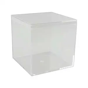 rigid clear hinged plastic boxes