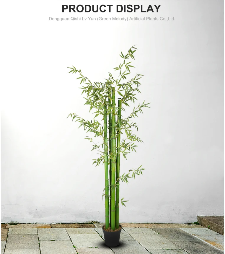 2.3m Tall Bamboo Plant Indoor Bamboo Tree Buy Tall Bamboo Tree,Tall Bamboo Plants,Bamboo
