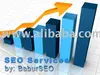 SEO Services, Search Engine Optimization