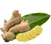 chinese fresh ginger
