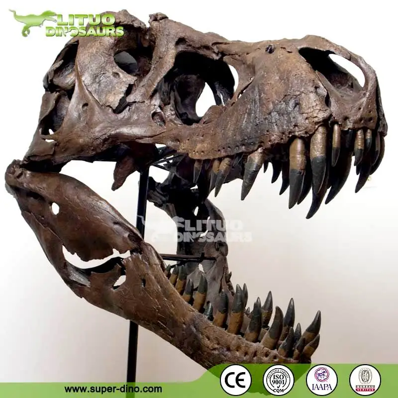 fake t rex skull