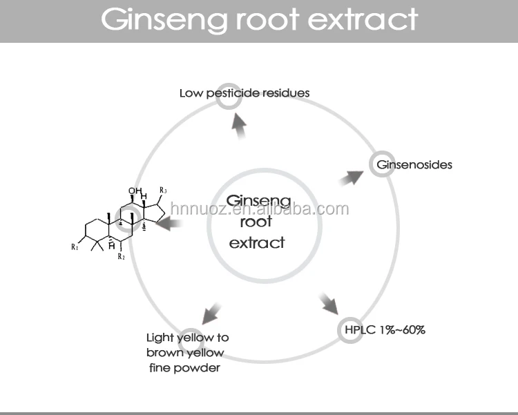 Ginseng 6 Year Root Nongmo Energy Drink Powder Panax Ginseng Root