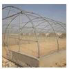 Customize arch galvanized pipe tunnel greenhouse for sale