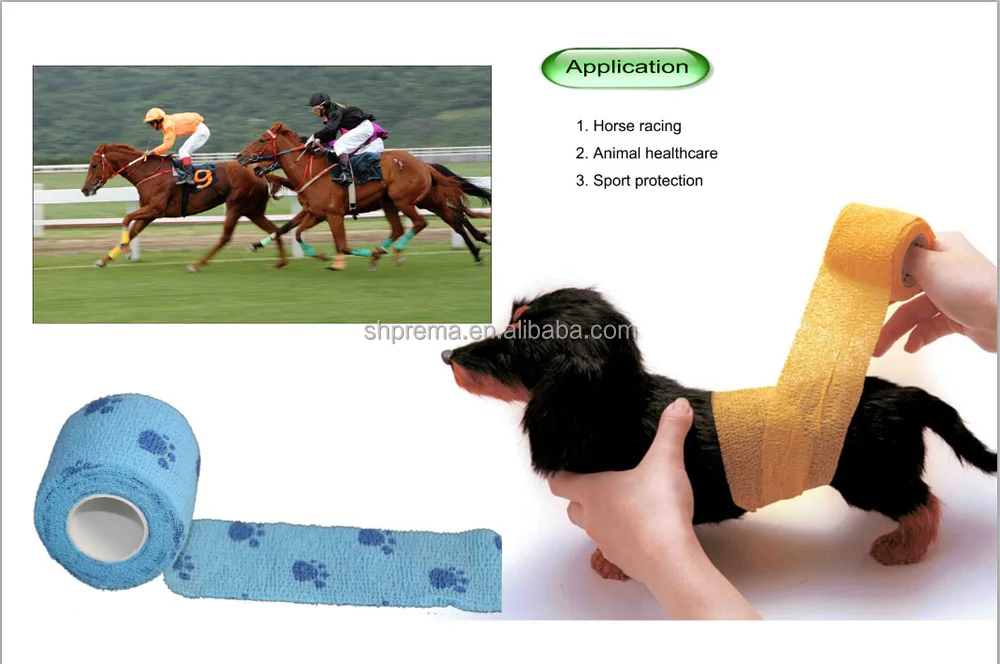 Horse Adhesive Bandage Roll Medical Plaster From Prema Shanghai China