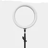 Hendefe LED Ring Light 10 brightness 3200-6500K Dimmable Photo/ Youtube Video Media Film Studio Setup 12inch ring light Makeup