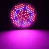 Rohs Certified Aluminum Alloy Strawberry Seed 80W LED Grow Light E27