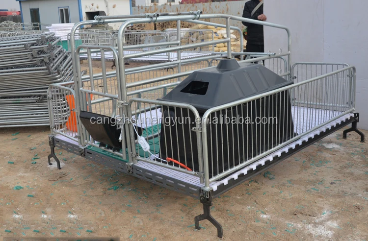 farrowing pen (3)