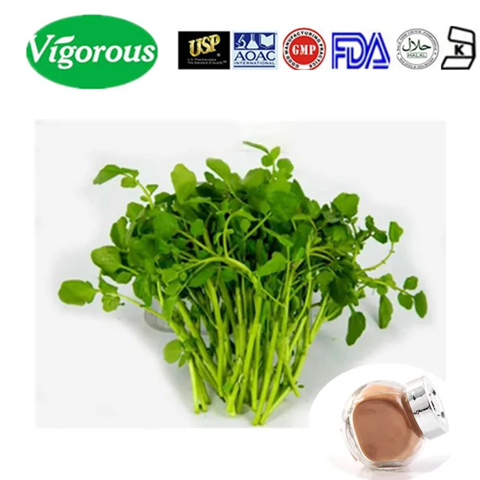 Iso Manufacturer Nasturtium Officinale Watercress Extract Buy