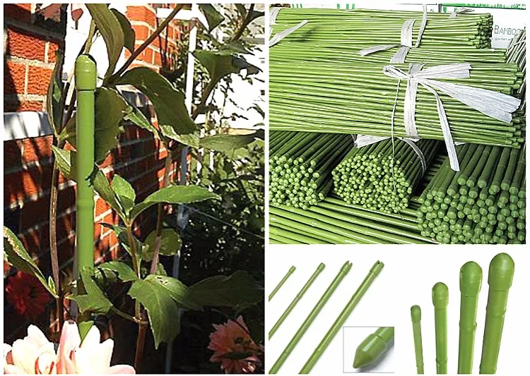 Plastic Coated Natural Bamboo Canes For Garden Buy Bamboo Canes