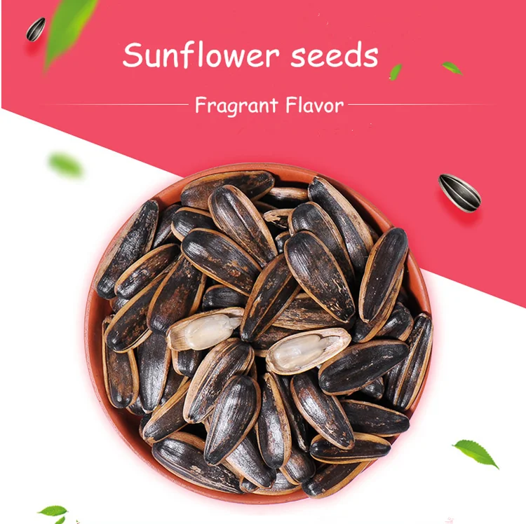 Sale Fragrant Flavor Roasted Sunflower Seeds With Good Price Buy Sale