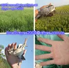 bird trapping net eco-friendly feature bird netting 0.12mmx40mmx2x15m,reti per catturare uccelli