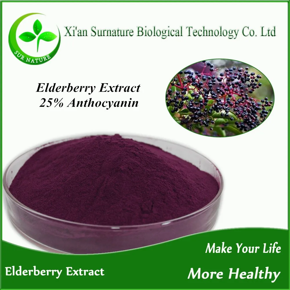 High Quality Elderberry Extract Powder,Elder Flower Buy Elderberry