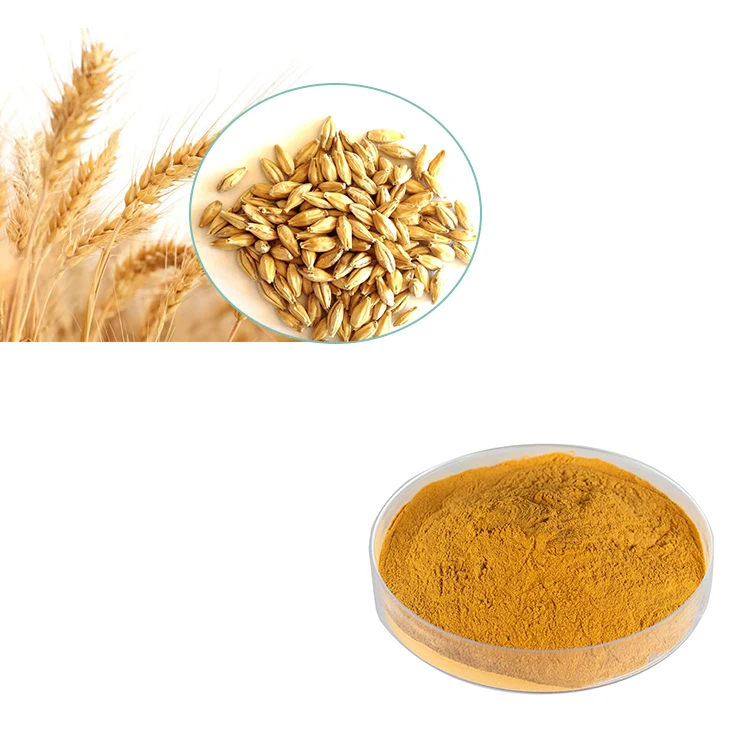 hongda-supply-wheat-germ-extract-organic-wheat-germ-powder-buy-wheat