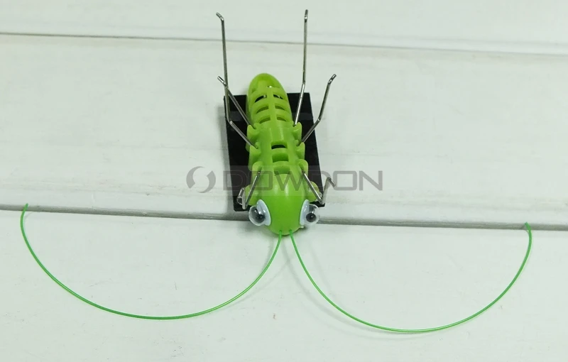 sloar grasshopper 8015 131216 (12).JPG