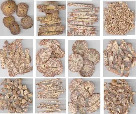 Dried Betel Nut Sale In Bulk 