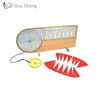 School Teaching Aids Demonstration Model of Circle Area and Pi