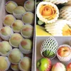 works easy pe foaming fruit net production line