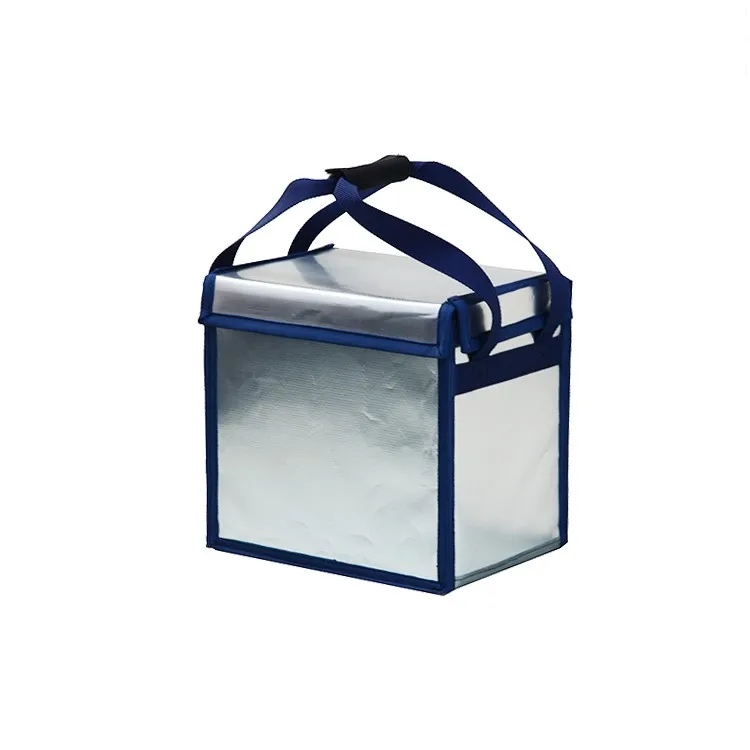 72 Hours Keep Cold Drug Cooler Box For 28c Cold Storage Or Transport