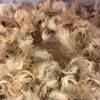 wholesale soft washed grey duck feather for sale