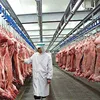 Onestop Pork Slaughterhouse Machine For Mother Pig Butcher Abattoir