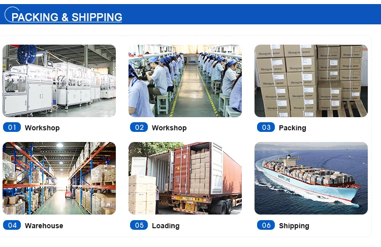 professional high torque low rpm motor 12v dc