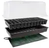 OEM Design Growing Trays Cells Seed Tray