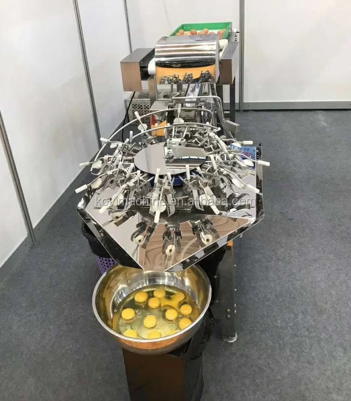 Commercial Stainless Steel Egg White Breaker Separator Machine Buy Egg Breaker Machine