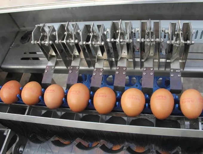 Efficient Automatic Egg Farm Packer Egg Packaging Machine Buy Egg