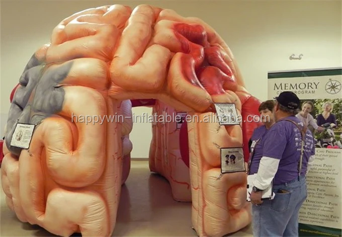 inflatable brain1.jpg