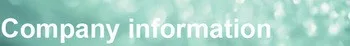company information