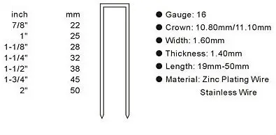 100(8n).jpg