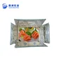 Insulated Aluminium Foil Carton Thermal Creative Packing Solution Costing of Corrugated Boxes for Frozen Food Packaging Delivery
