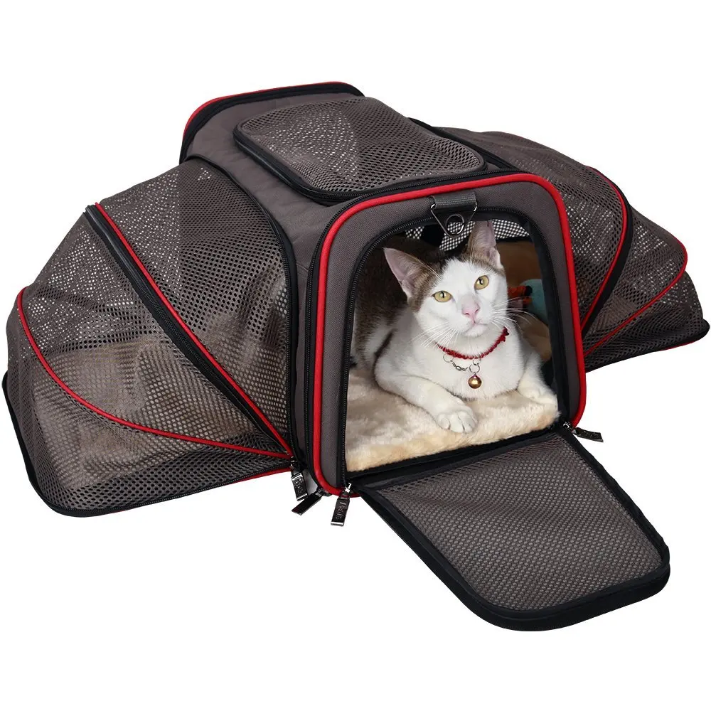 Pet bag. Переноска для кота. Pet Carrier переноска. Переноска для животных Homepet голубая 48 х 32 х 32 см. Переноска Cat Carrier.