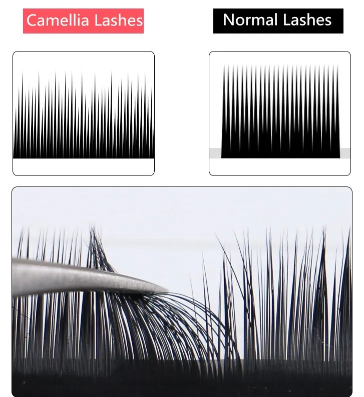 camellia lashes mega volume fans.JPG