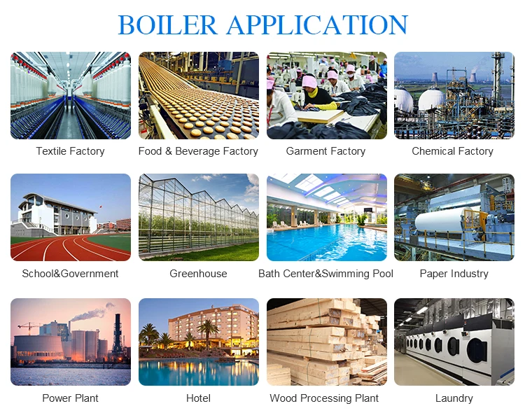 application of Greenhouse Use Industrial Gas Oil Fired Hot Water Heater Boiler