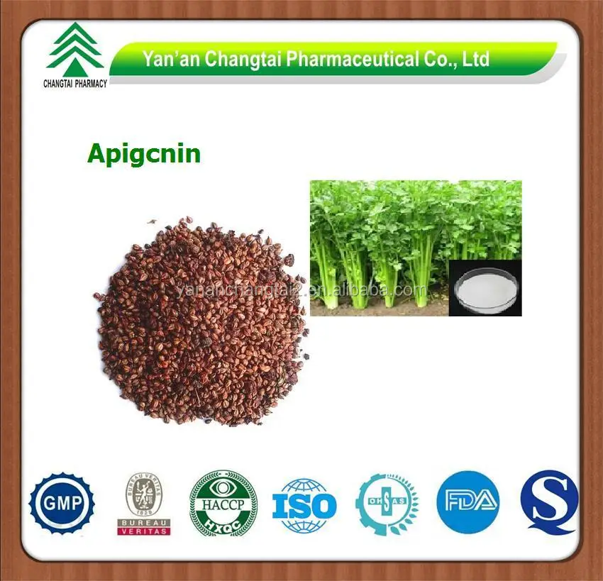 Gmp Factory Supply Herb Apium Graveolens Var.dulce Plant/ Celery