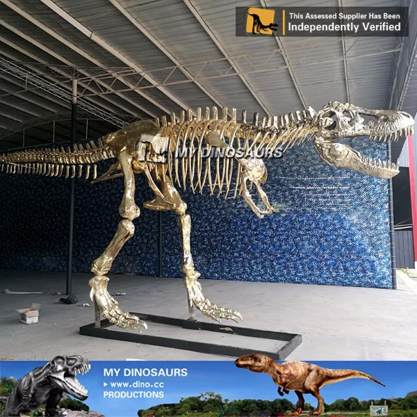 buy dinosaur skeleton