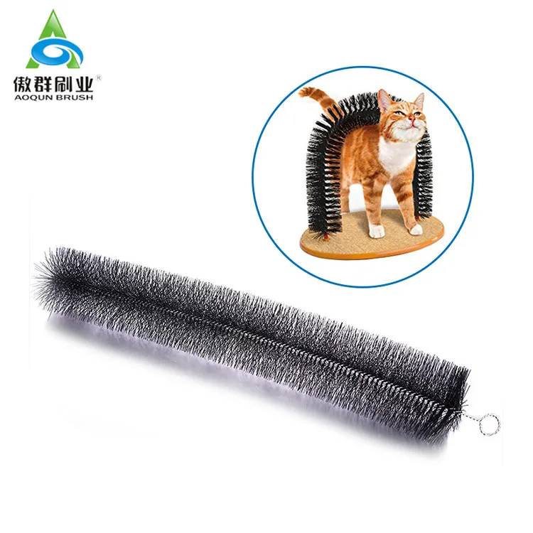 cat brush tunnel