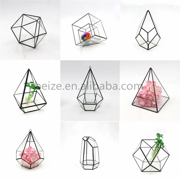 glass terrarium 