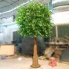Dark green ficus leaves banyan tree plant natural looking ficus branch tree customize china ficus bonsai for decoration